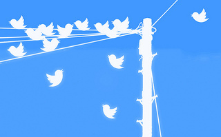 Social media web traffic twitter birds