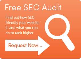 get-a-free-seo-audit-chaosmap