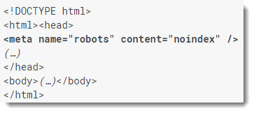 meta-robots-no-index-example